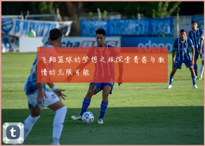 飞翔篮球的梦想之旅探索青春与激情的无限可能