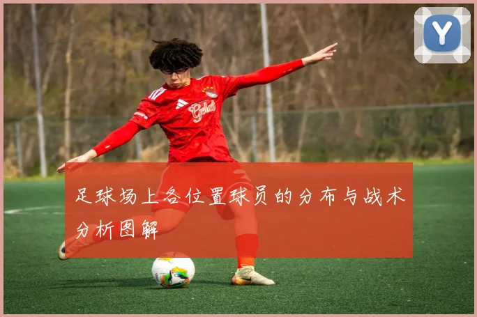 足球场上各位置球员的分布与战术分析图解