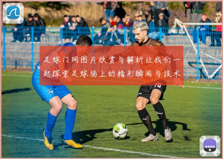 足球门网图片欣赏与解析让我们一起探索足球场上的精彩瞬间与技术细节