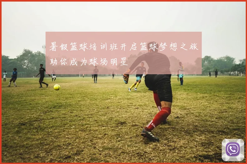 暑假篮球培训班开启篮球梦想之旅助你成为球场明星