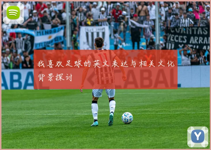 我喜欢足球的英文表达与相关文化背景探讨