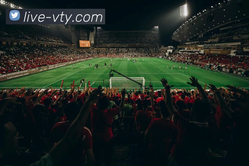 V体育官方网站APP 体育赛事宣传图